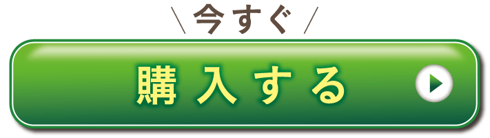 今すぐ購入する
