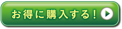 お得に購入する！