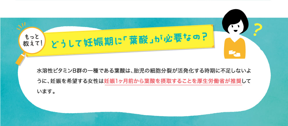 もっと教えて！どうして妊娠期に「葉酸」が必要なの？