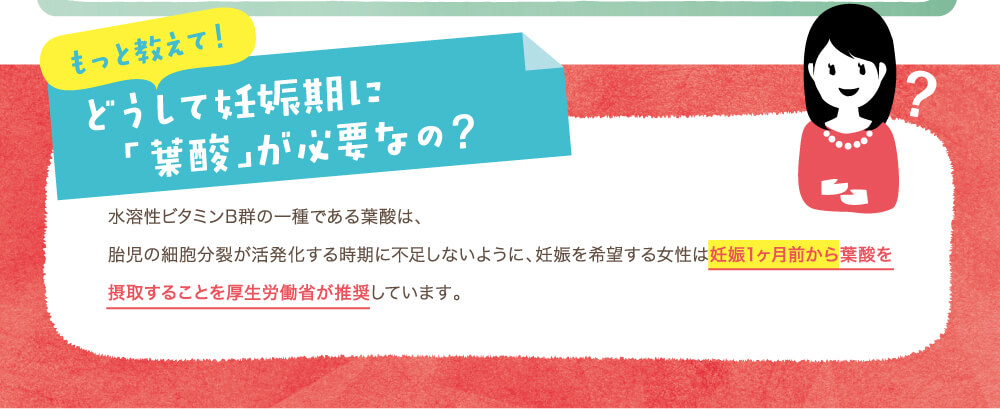 どうして妊娠期に「葉酸」が必要なの？