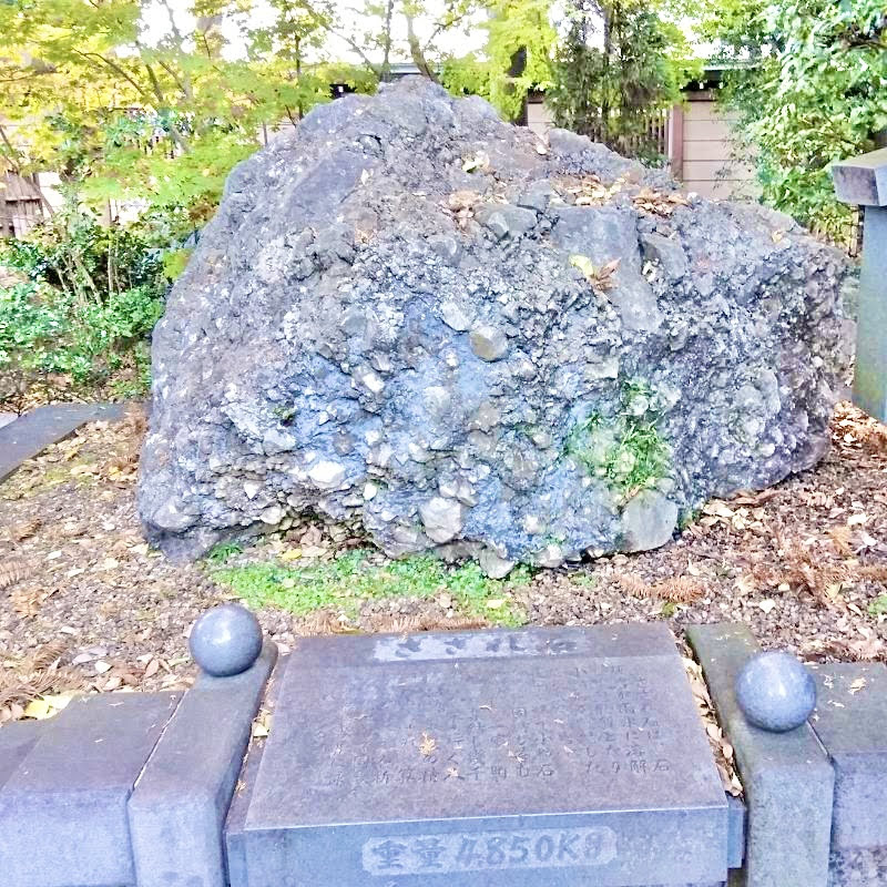 大國魂神社「さざれ石」