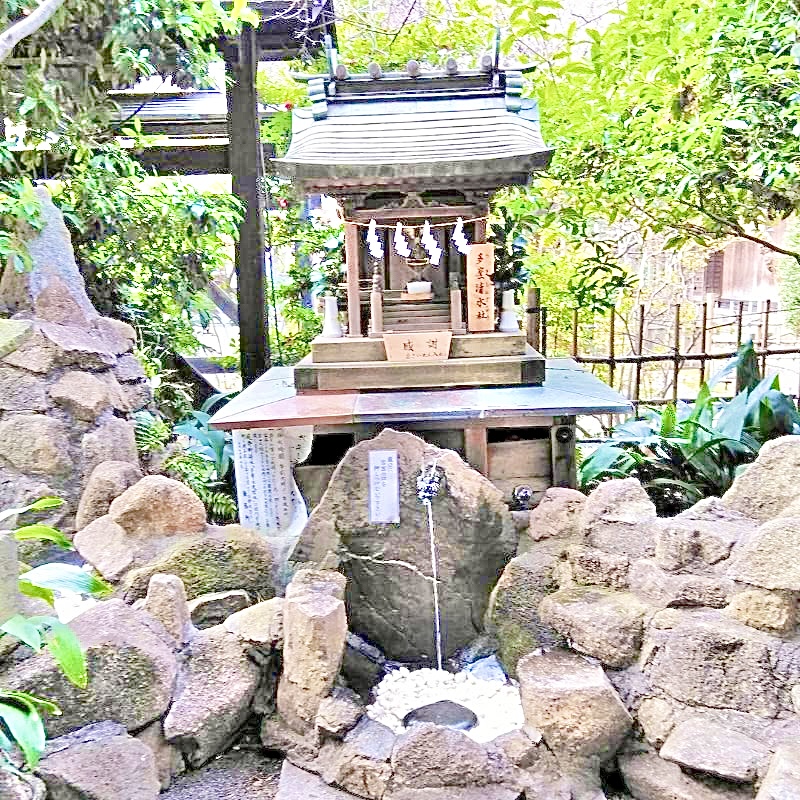 多摩清水社さまは水神さまをお祀りしているお社で、生命の源であるご神水が湧き出しているエネルギーを感じる場所です。