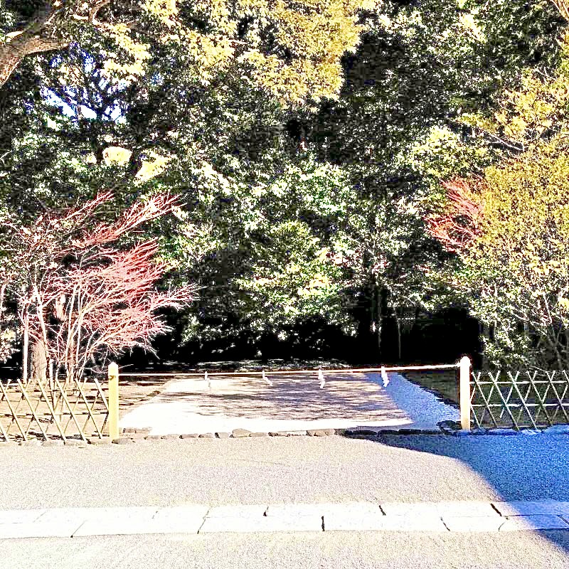 全国に約4万社ある八幡宮の総本宮:宇佐神宮さまの遥拝所です。大分県に出向くことなく、お参りできる場所です。