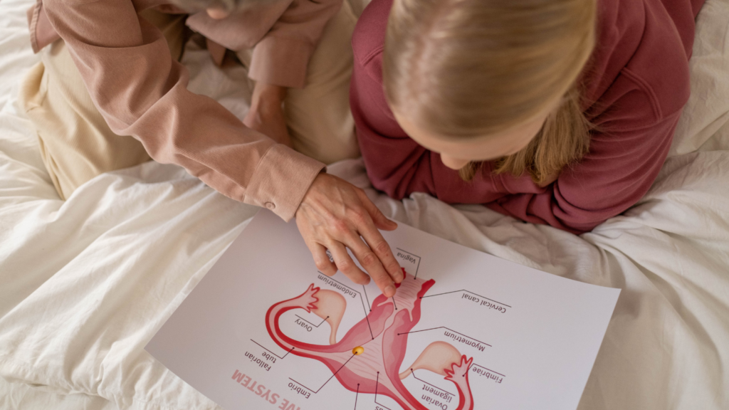 子宮の画像を見る女の子