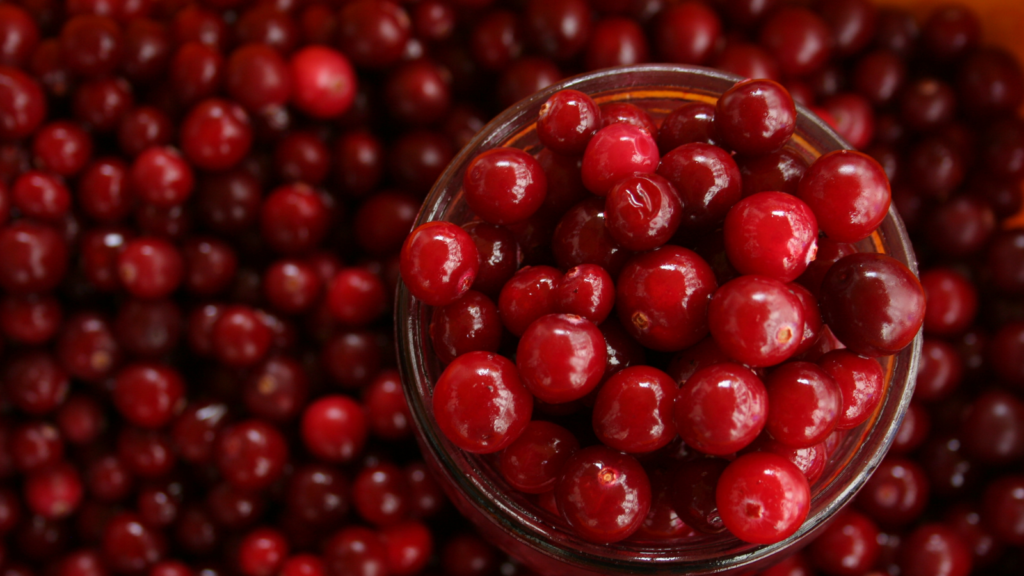 クランベリーの画像