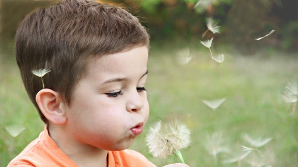 綿毛を飛ばす男の子