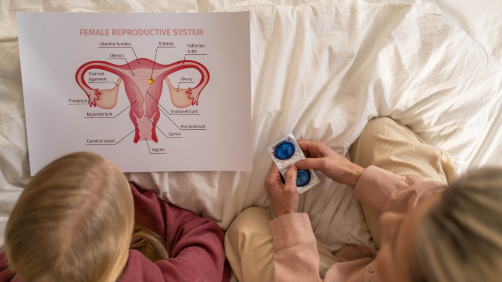 子宮の絵を見る人