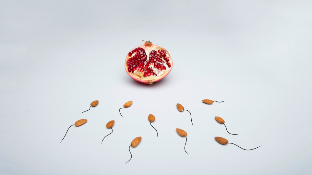 ざくろの子宮とおたまじゃくし