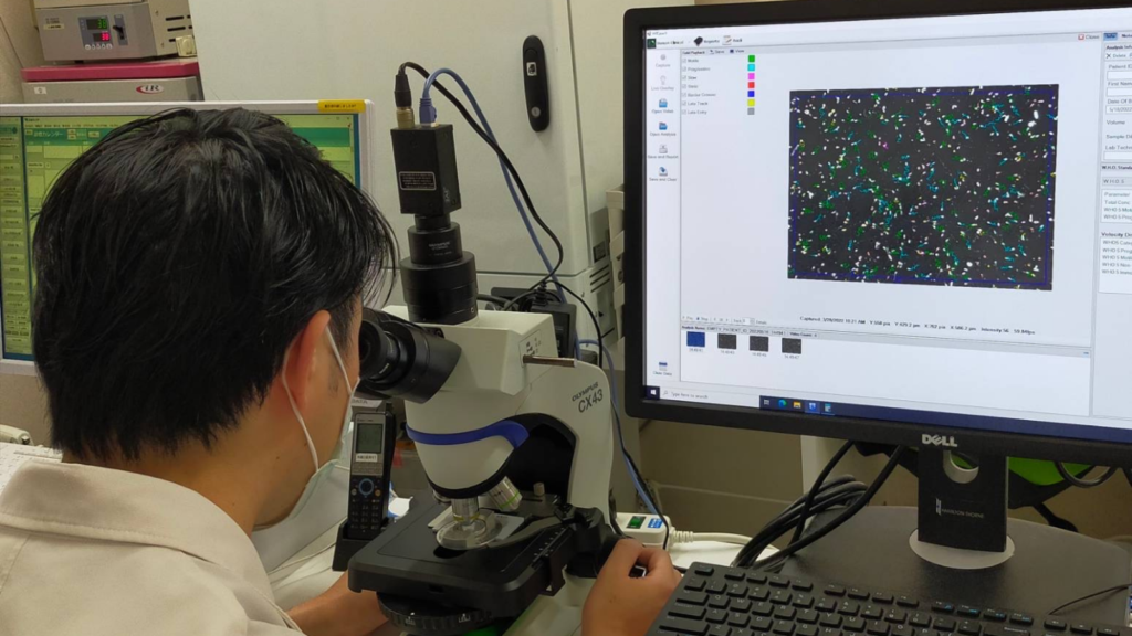 精子を顕微鏡で調べている