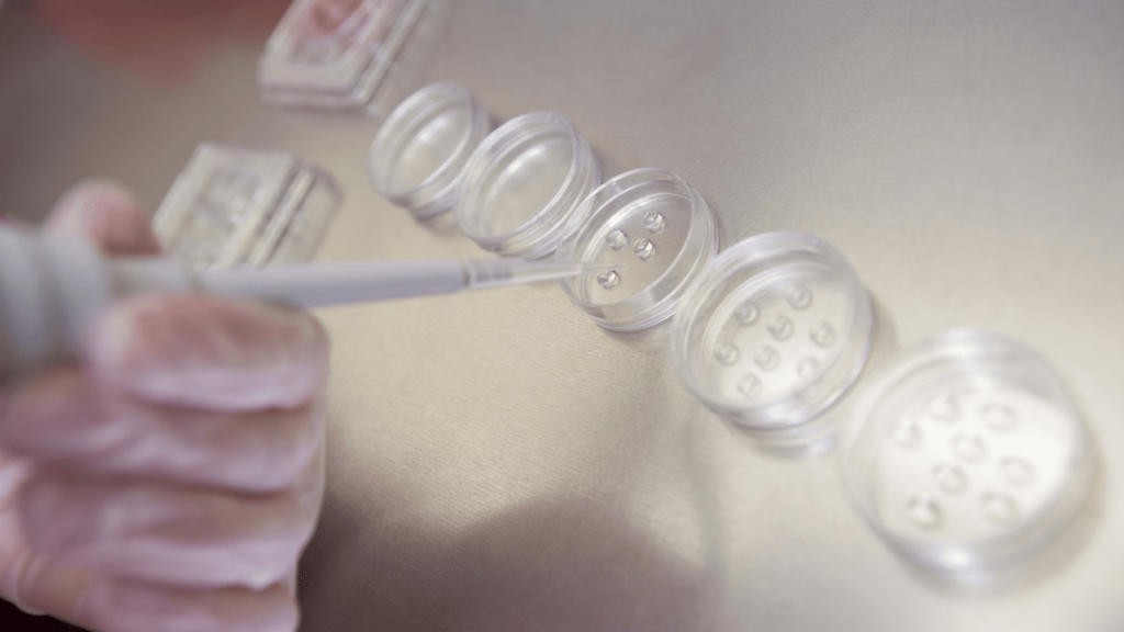 卵子凍結とは？