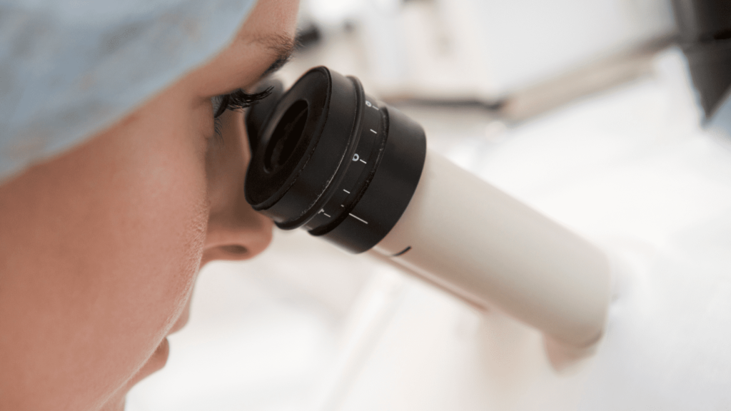 胚盤胞のグレードと移植方法とは？