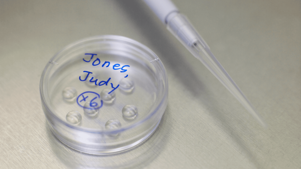 胚盤胞のグレードと移植方法とは？