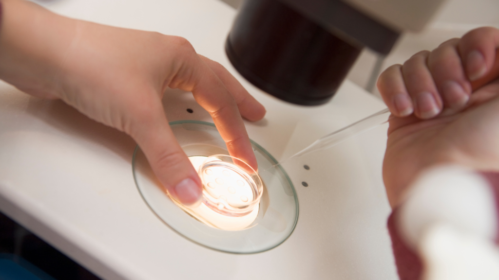 卵子の質を上げるには?