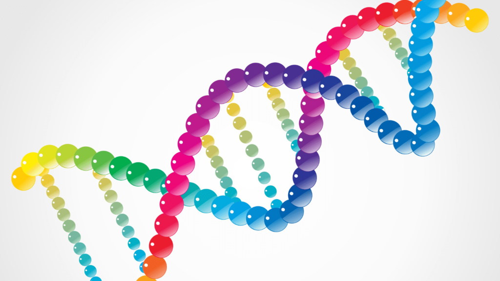 【専門家が解説】新型出生前診断（NIPT）とは？検査でわかること、内容は？費用は？