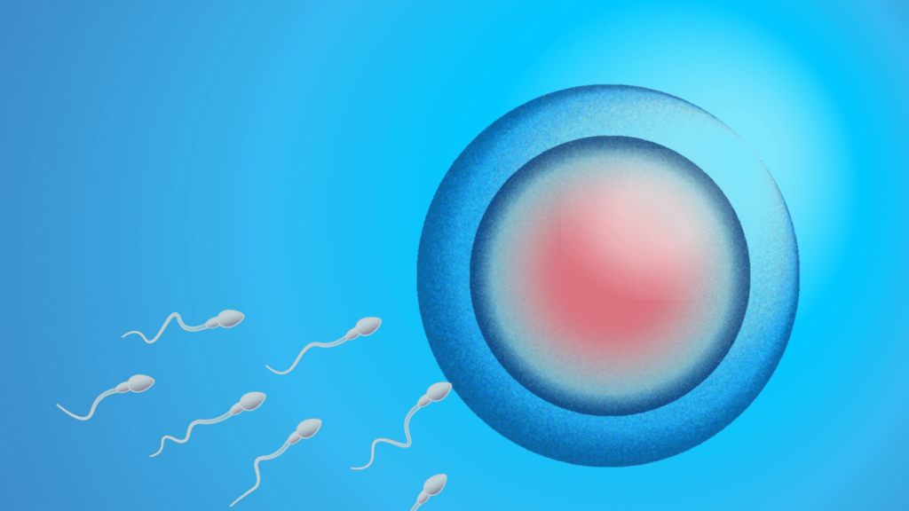 人工授精の精子の選別とは?