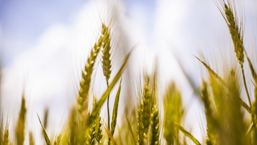 環境要因と不妊の関係性とは？