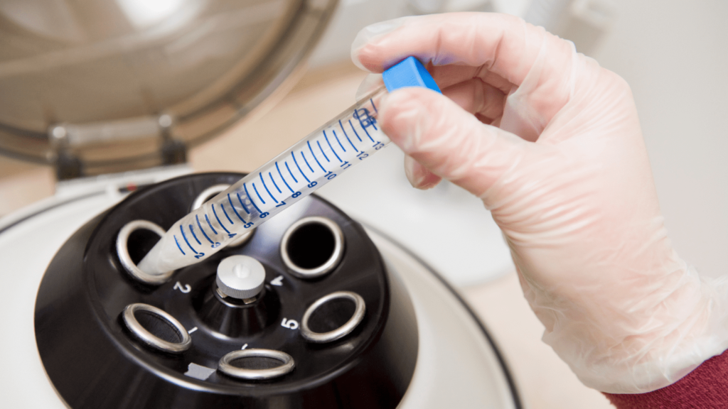 知りたい!卵子凍結から妊娠までの流れ