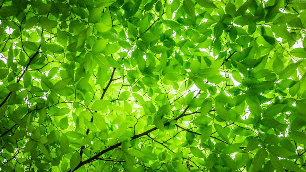 知っておきたい!不妊に関わる環境要因とは?