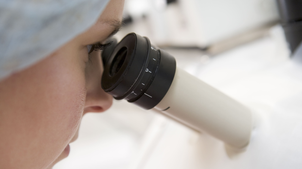 卵子凍結の知識: 妊娠に必要な卵子の個数とは?