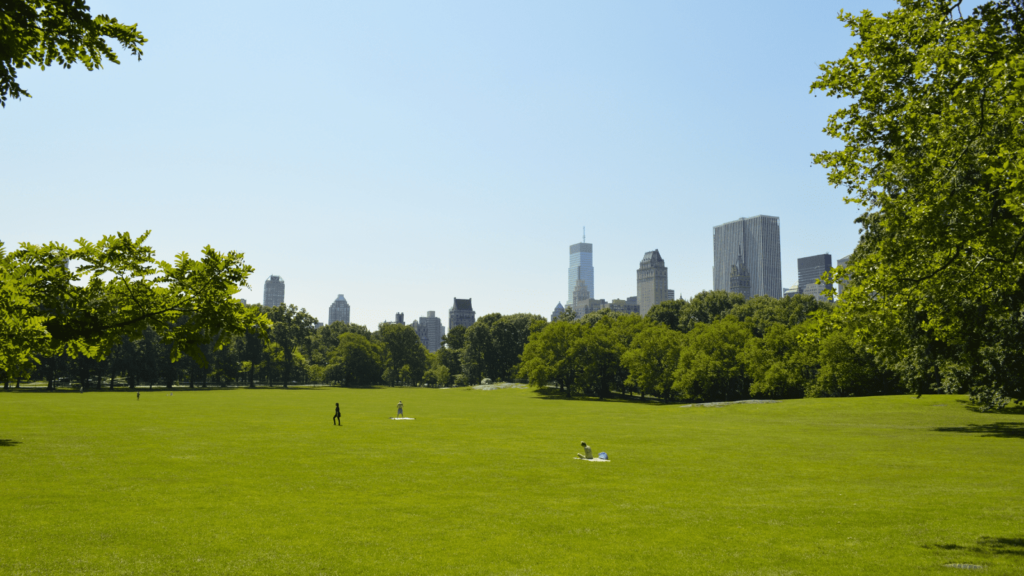 あなたと赤ちゃんのために:妊婦さん向け地震対策リスト