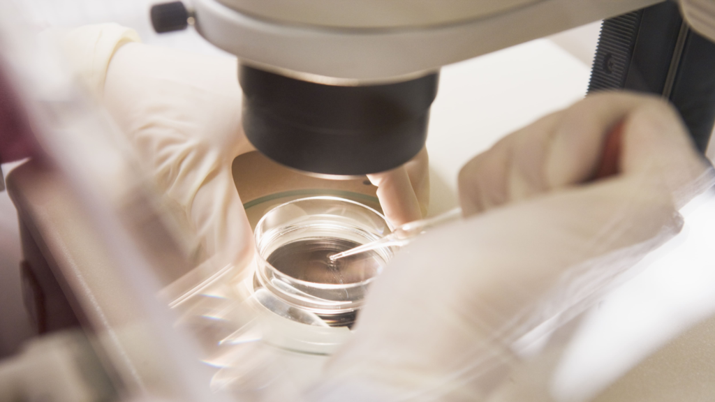 シリンジ法で40代の妊娠成功率を上げる方法とその効果