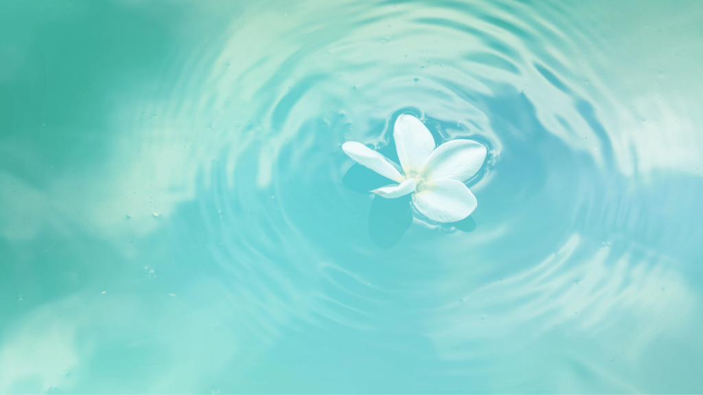 早期閉経の悩みを解決！原因、症状、対処法まとめ