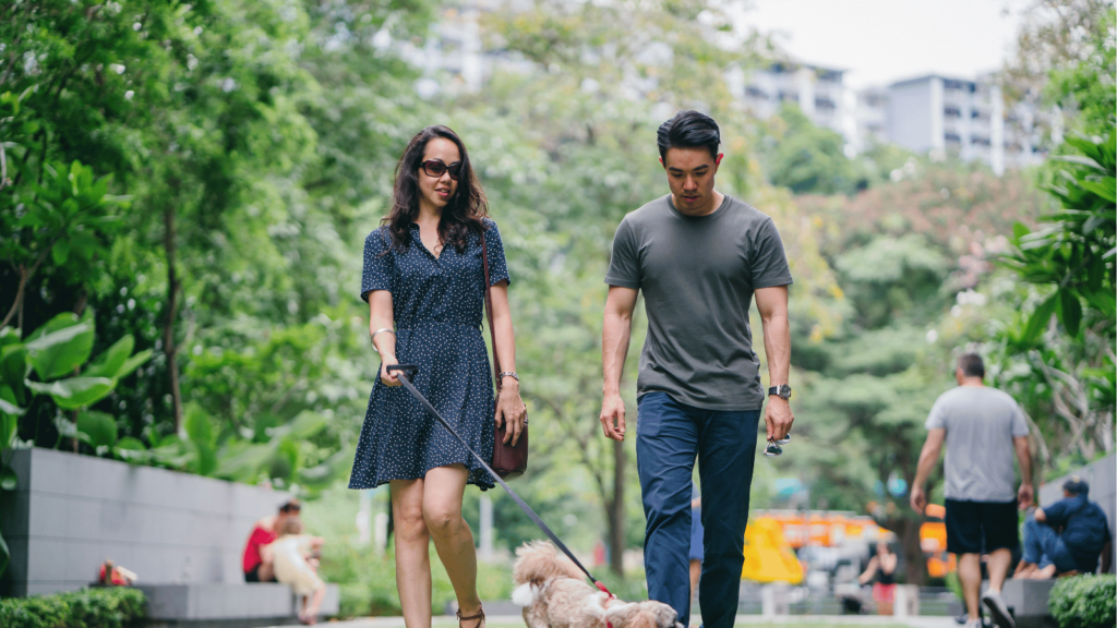 AMHレベルの知識: 女性の健康と不妊への影響