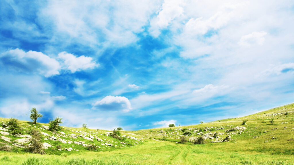 タイミング法と他の不妊治療との組み合わせ